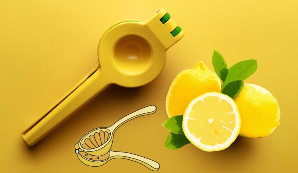 Best Quality Lemon Squeezer